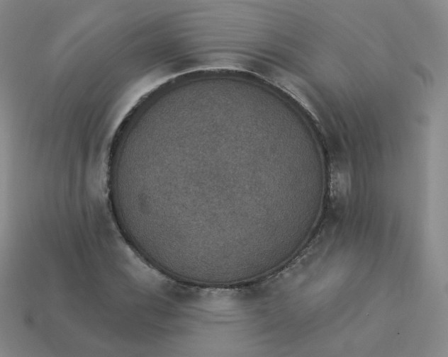 X0000113551116200910091258