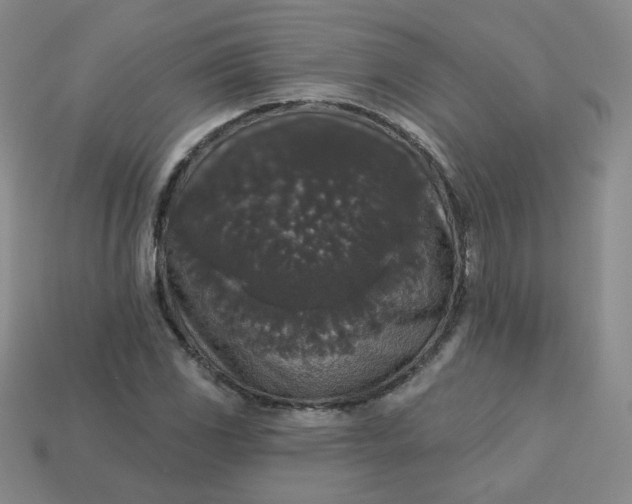 X0000113551117200910091258