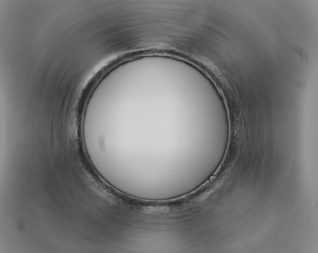 X0000113551118200910091258