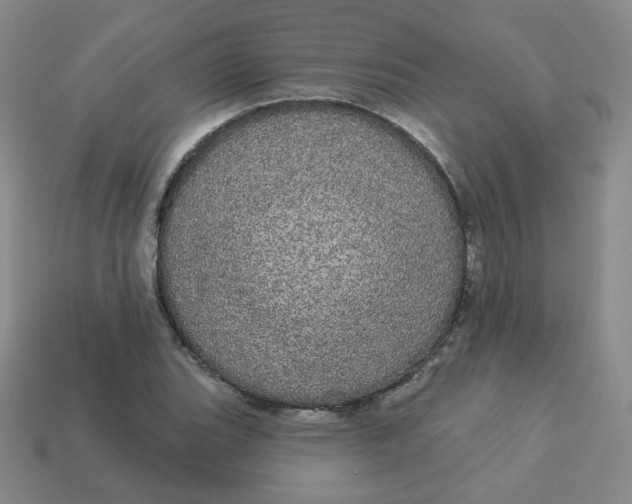 X0000113551119200910091258