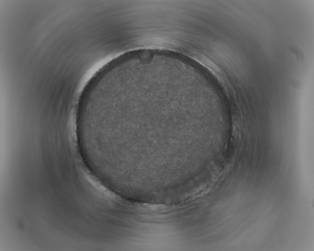 X0000113551120200910091258