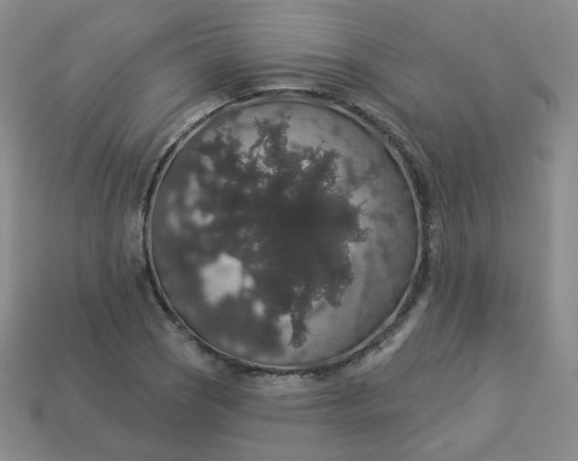 X0000113551121200910091258