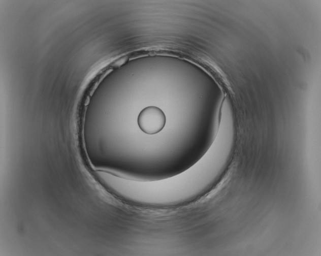 X0000113551122200910091258