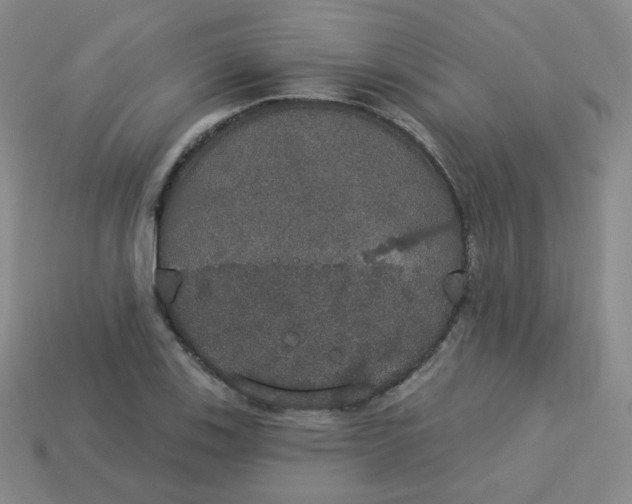 X0000113551123200910091258