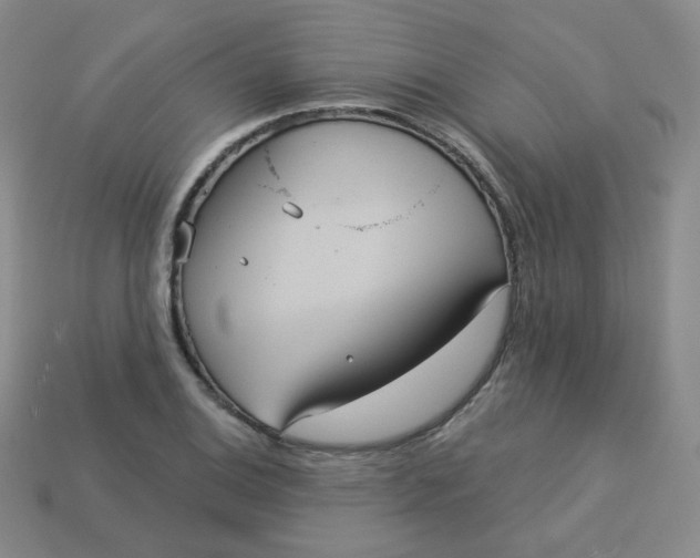 X0000113551124200910091258