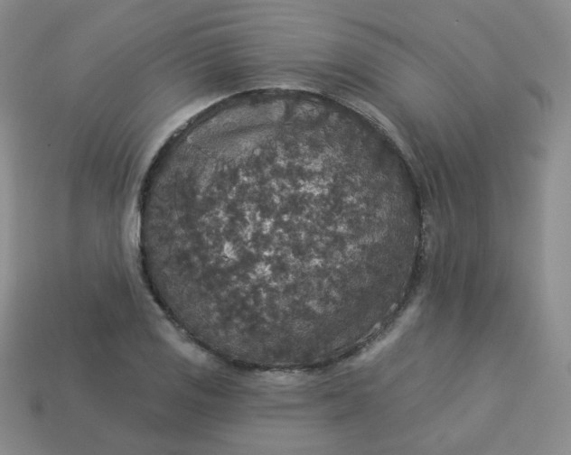 X0000113551125200910091258