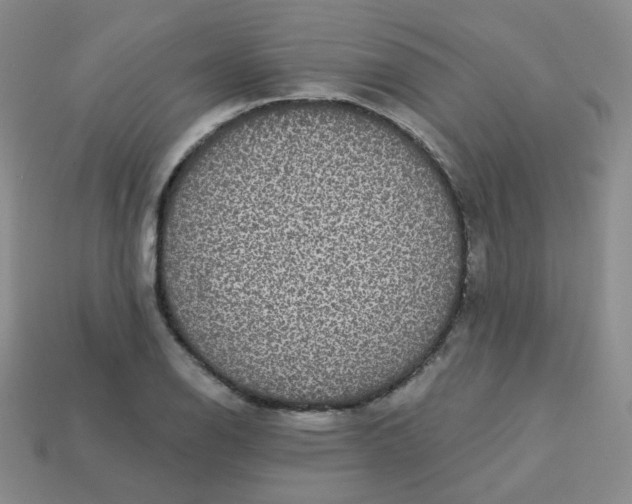 X0000113551126200910091258