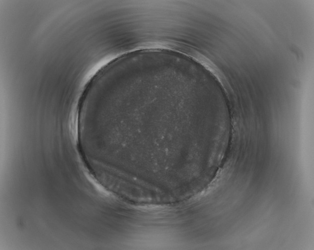 X0000113551127200910091258