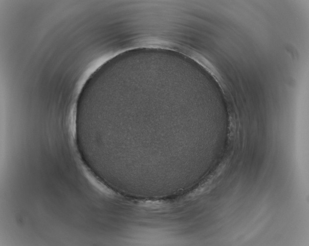 X0000113551128200910091258