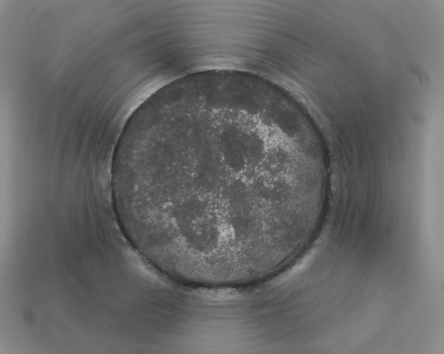 X0000113551129200910091258