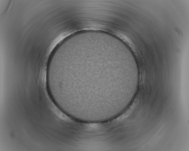 X0000113551130200910091258