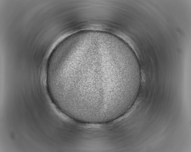 X0000113551131200910091258