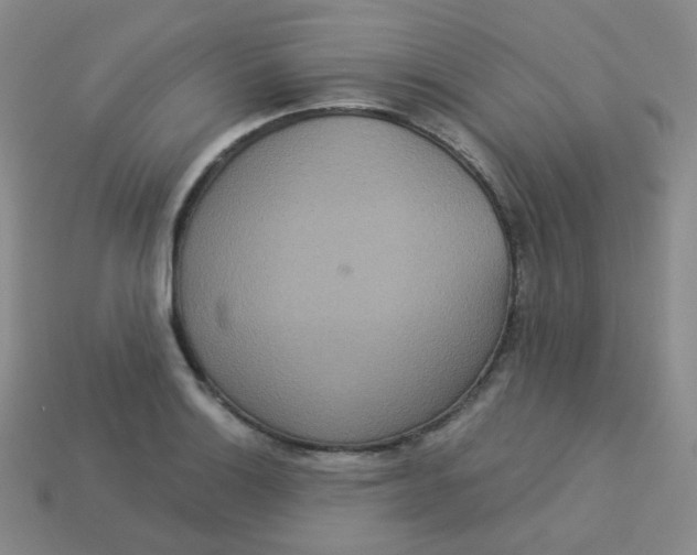 X0000113551132200910091258