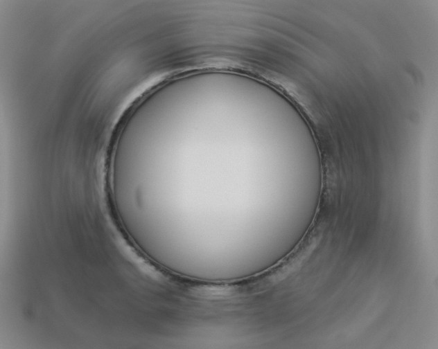 X0000113551134200910091258