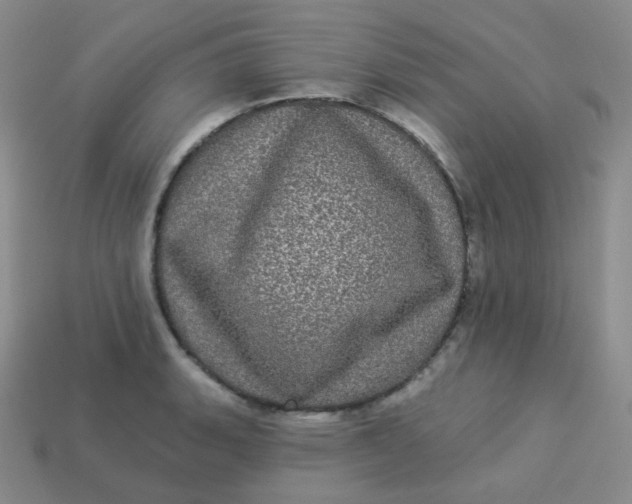 X0000113551135200910091258