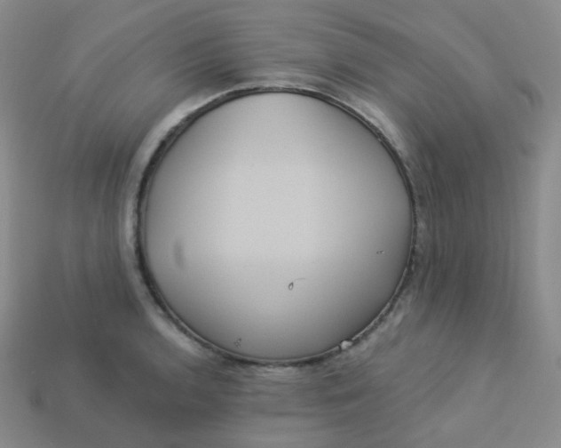 X0000113551136200910091258