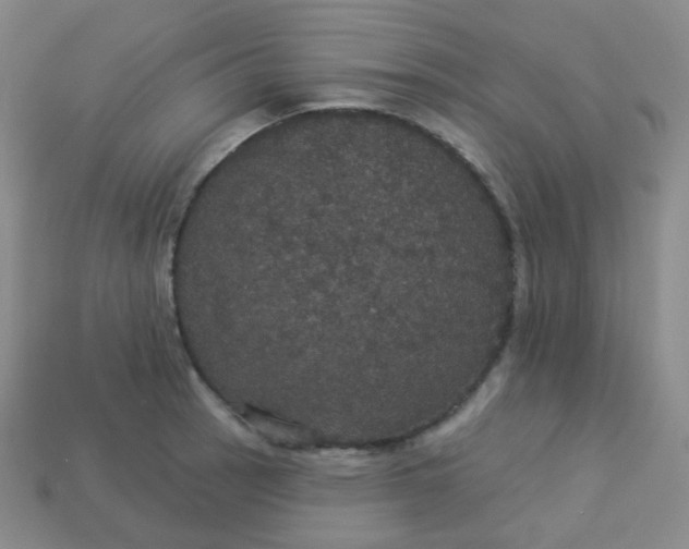 X0000113551137200910091259