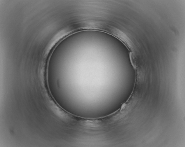 X0000113551138200910091259