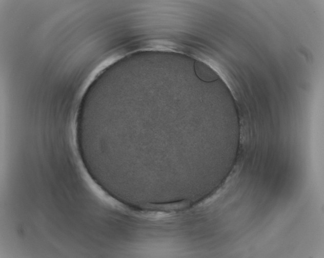 X0000113551139200910091259