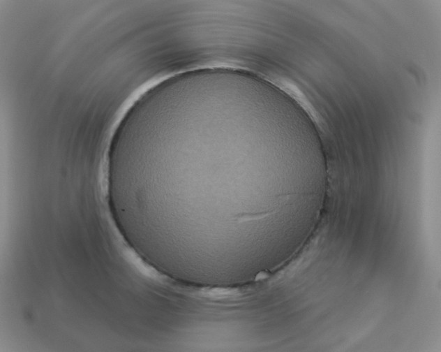 X0000113551140200910091259