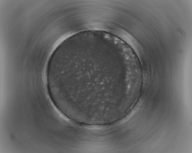 X0000113551141200910091259