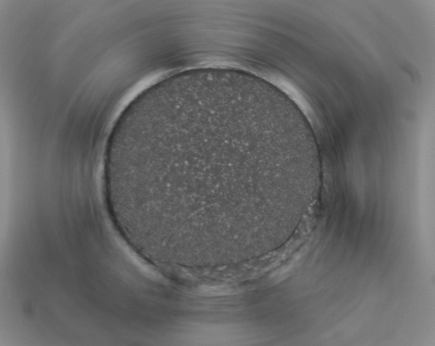 X0000113551142200910091259