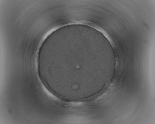 X0000113551143200910091259