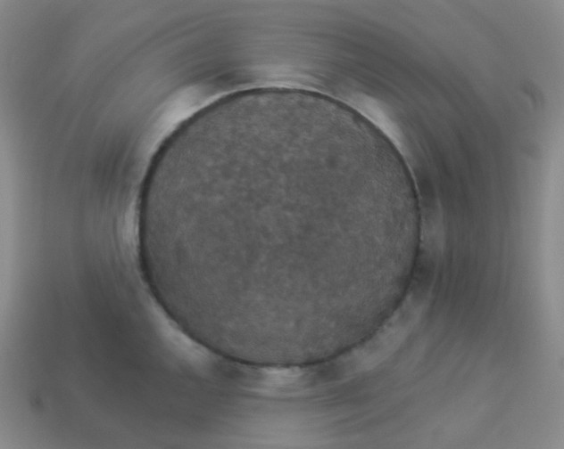 X0000113551144200910091259