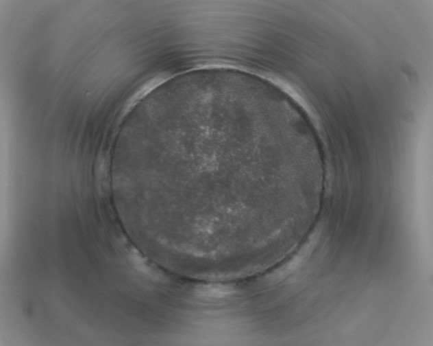 X0000113551145200910091259