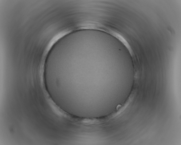 X0000113551146200910091259