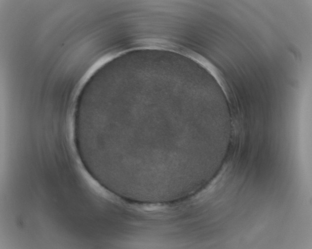 X0000113551147200910091259