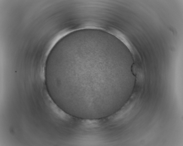 X0000113551148200910091259