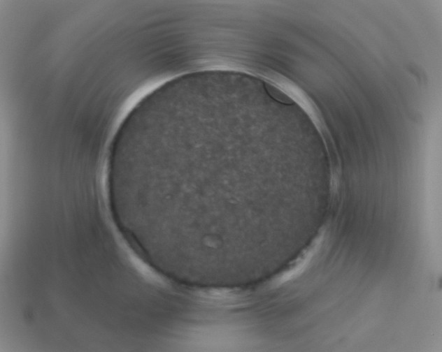 X0000113551149200910091259