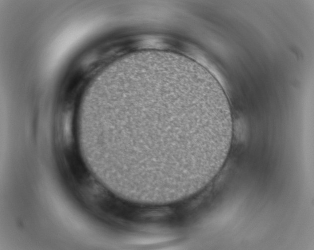 X0000113551150200910091259