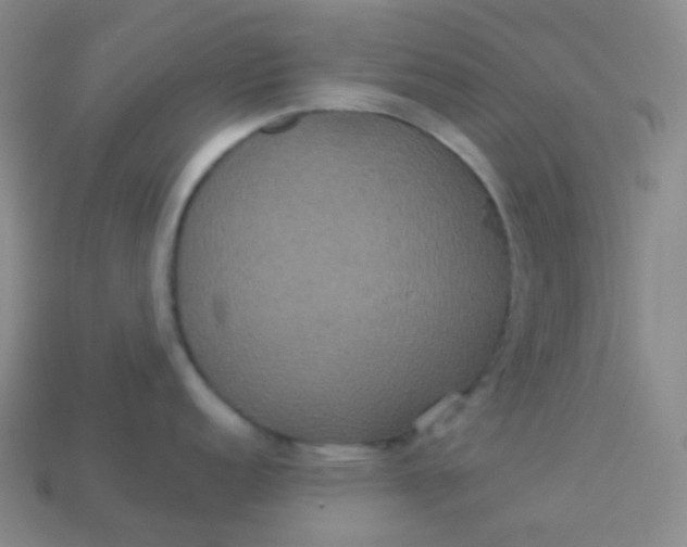 X0000113551152200910091259