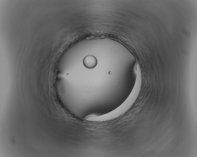 X0000113551153200910091258