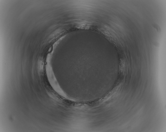 X0000113551154200910091258