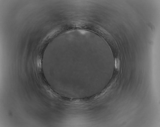 X0000113551155200910091258