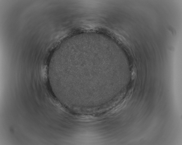 X0000113551156200910091258