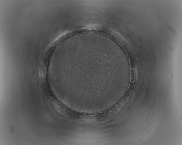 X0000113551158200910091258