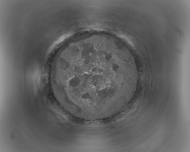 X0000113551159200910091258