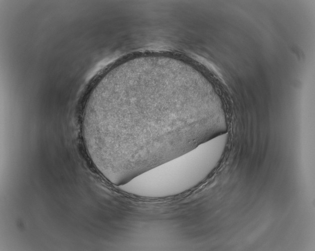 X0000113551160200910091258