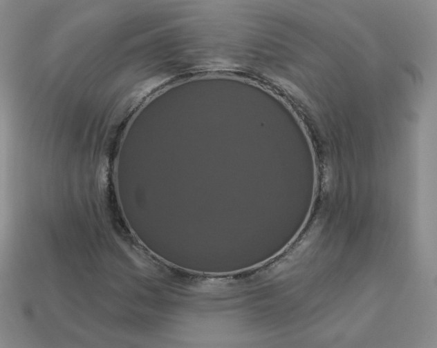 X0000113551161200910091258