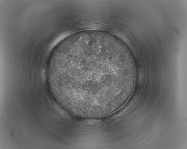 X0000113551163200910091258