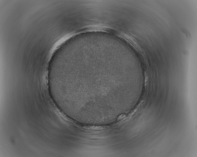 X0000113551164200910091258