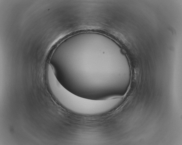 X0000113551165200910091258