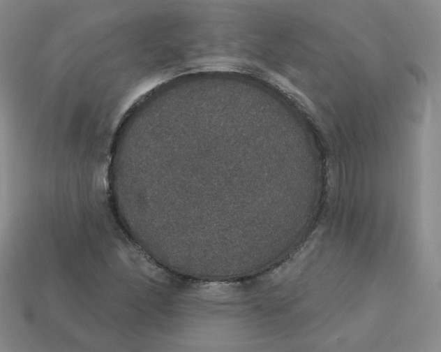 X0000113551166200910091258