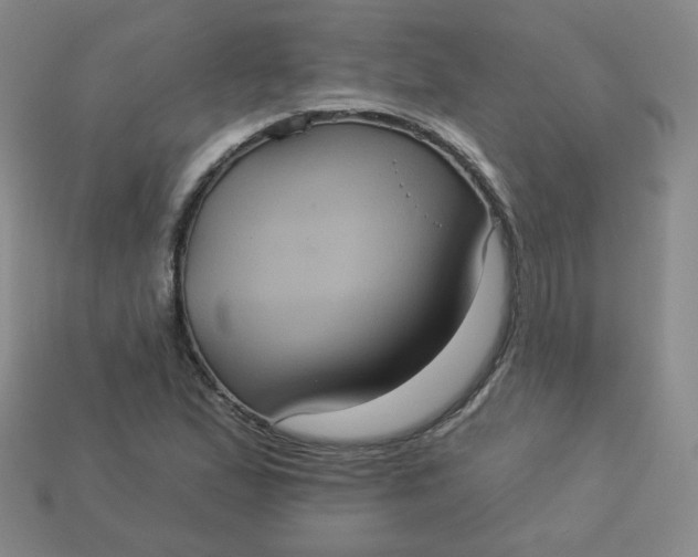 X0000113551167200910091258