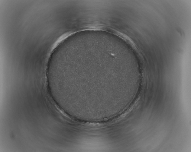 X0000113551168200910091258