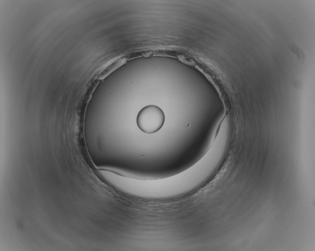 X0000113551169200910091258